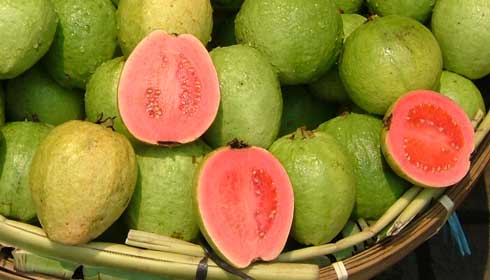 گواوا