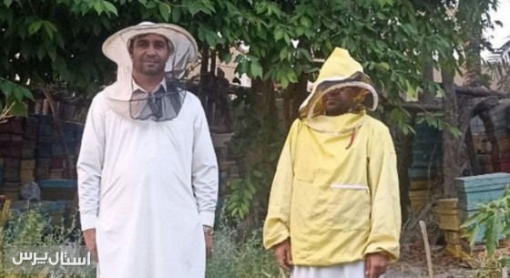 آغاز طرح مراقبت بیماری‌های زنبور عسل در شهرستان نیکشهر