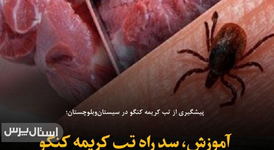 آموزش، سد راه تب کریمه کنگو