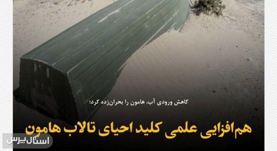 هم‌افزایی علمی کلید احیای تالاب هامون سیستان
