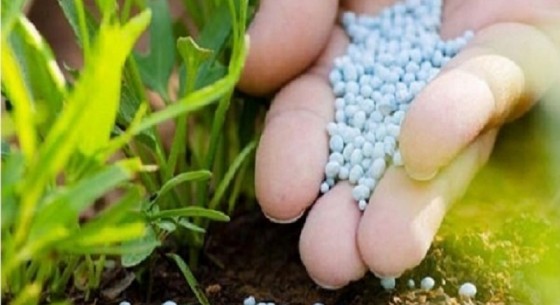 حمایت از کشاورزی با تامین کود های پایه