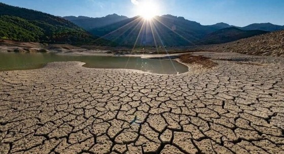 بر اساس آمار وزارت نیرو، ورودی آب به سدهای کشور در سال آبی جاری ۴۲ درصد کاهش یافته است؛ در خراسان رضوی نیز سد دوستی با ۷۰ درصد و سد طرق با ۵۹ درصد کاهش ذخایر آبی مواجه شده‌اند که زنگ خطری جدی برای تأمین آب مشهد محسوب می‌شود.