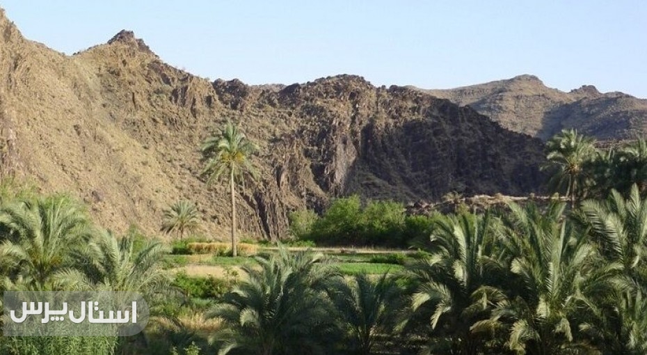 فرماندار لاشار: توسعه گردشگری این شهرستان نیازمند نگاه ملی است