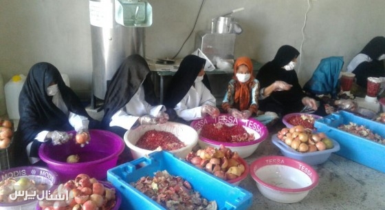 قطب تولید انار سیستان و بلوچستان