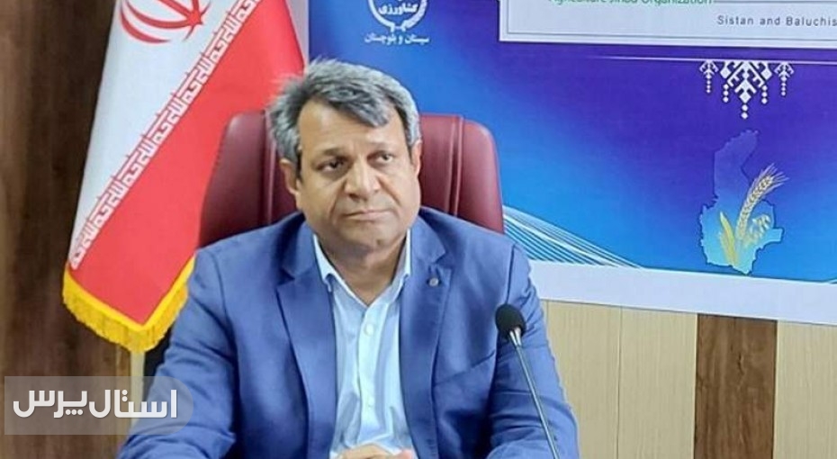 برداشت ۲ میلیون تن محصول پاییزه در سیستان‌وبلوچستان