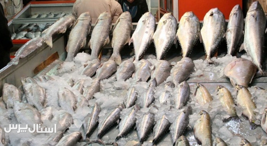 صادرات ۱۵۰۰ تُنی محصولات دریایی کنارک به چهار کشور آسیایی