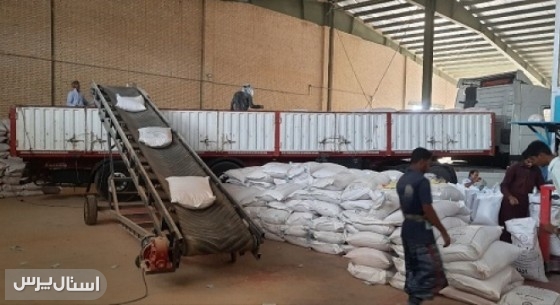 توزیع گسترده بذرهای گواهی‌شده؛ گامی در مسیر کشت پایدار استان