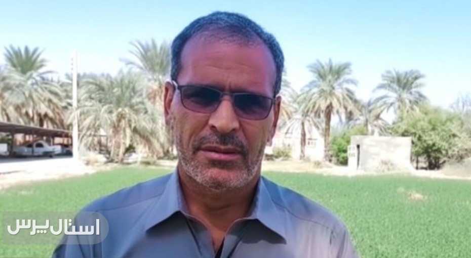 طلای زرد دلگان درو شد؛ برداشت ارزن در جنوب استان آغاز شد