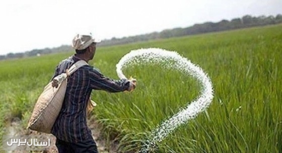 صدور ۲۹۵ حواله الکترونیکی کود برای کشاورزان شهرستان نیکشهر به منظور بهبود خدمات‌رسانی