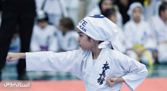 بانوان رزمی‌کار استان با ۸ مدال در مسابقات جنوب کشور درخشیدند.