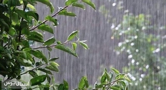 اولین بارش زمستانه سیستان‌وبلوچستان رقم خورد