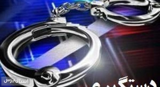 ناکامی سارق اماکن خصوصی