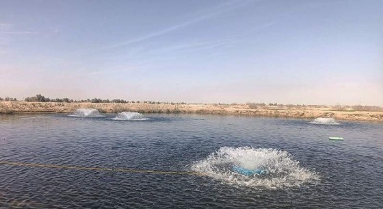 اجرای ۱۰۰ طرح آبزی‌پروری در سیستان‌وبلوچستان